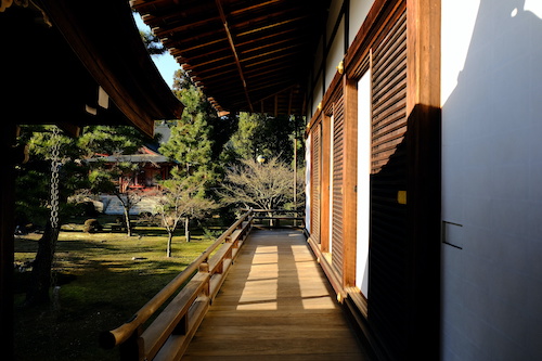 西島悠也